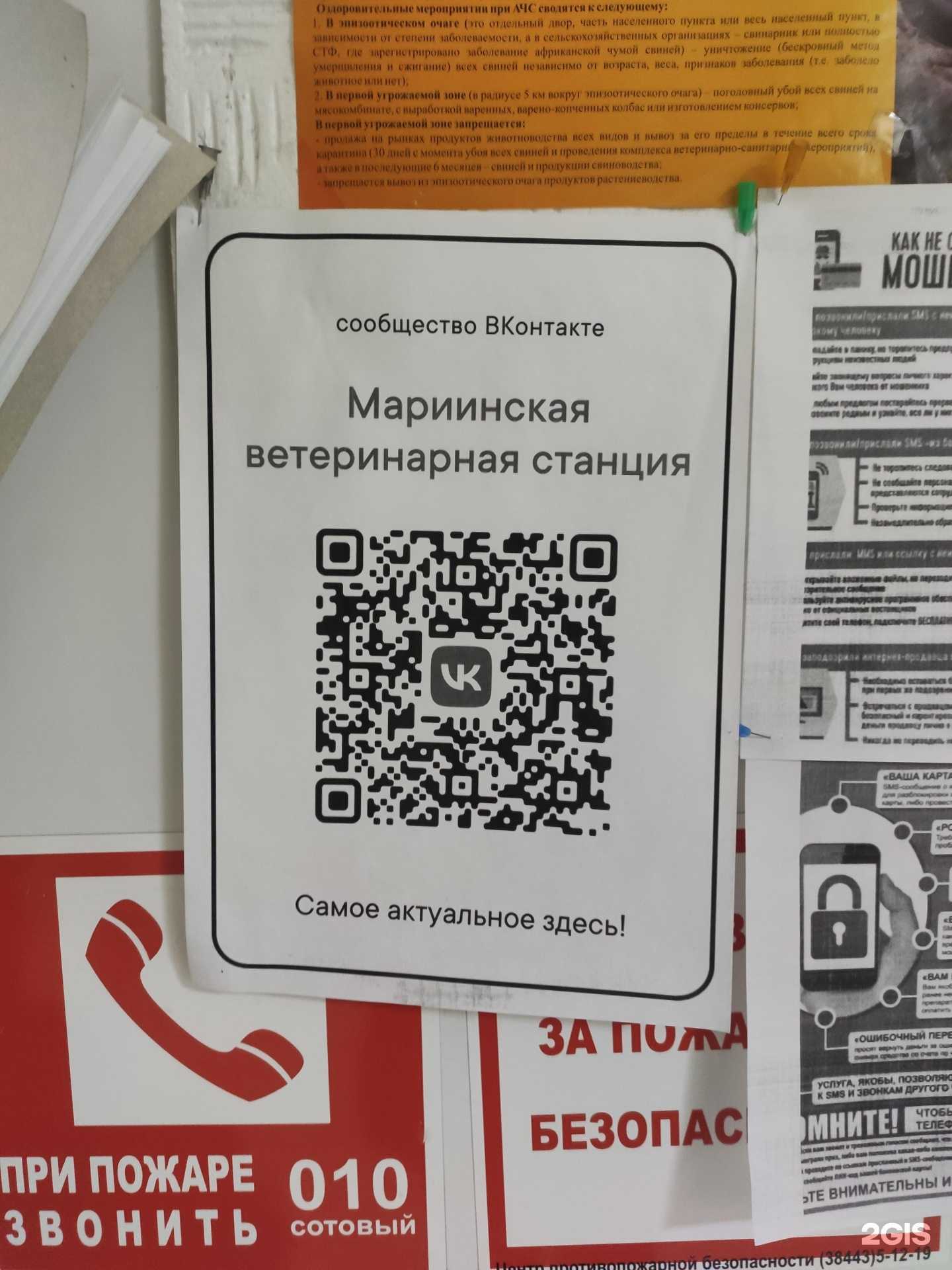 Отзывы на компанию Мариинская межрайонная ветеринарная лечебница в г. Мариинск c фото