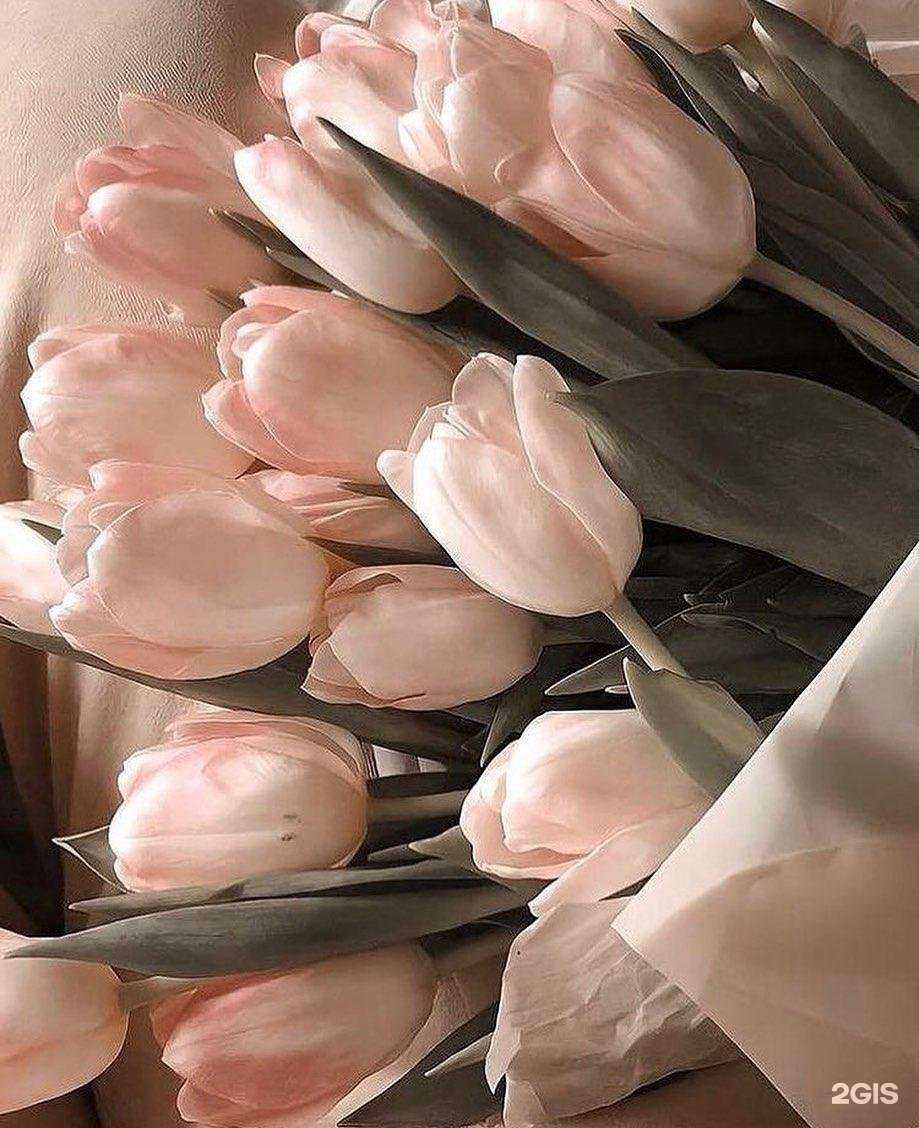 Отзывы на компанию Студия наращивания ресниц в Липецке c фото