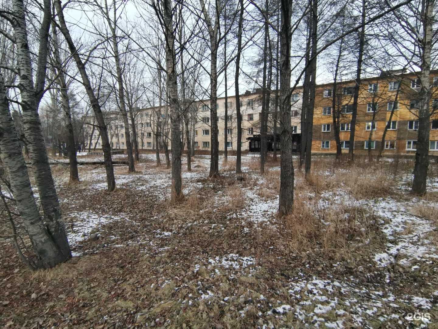 Отзывы на компанию Босс Роз в Елизове c фото - фотография 2 из 2