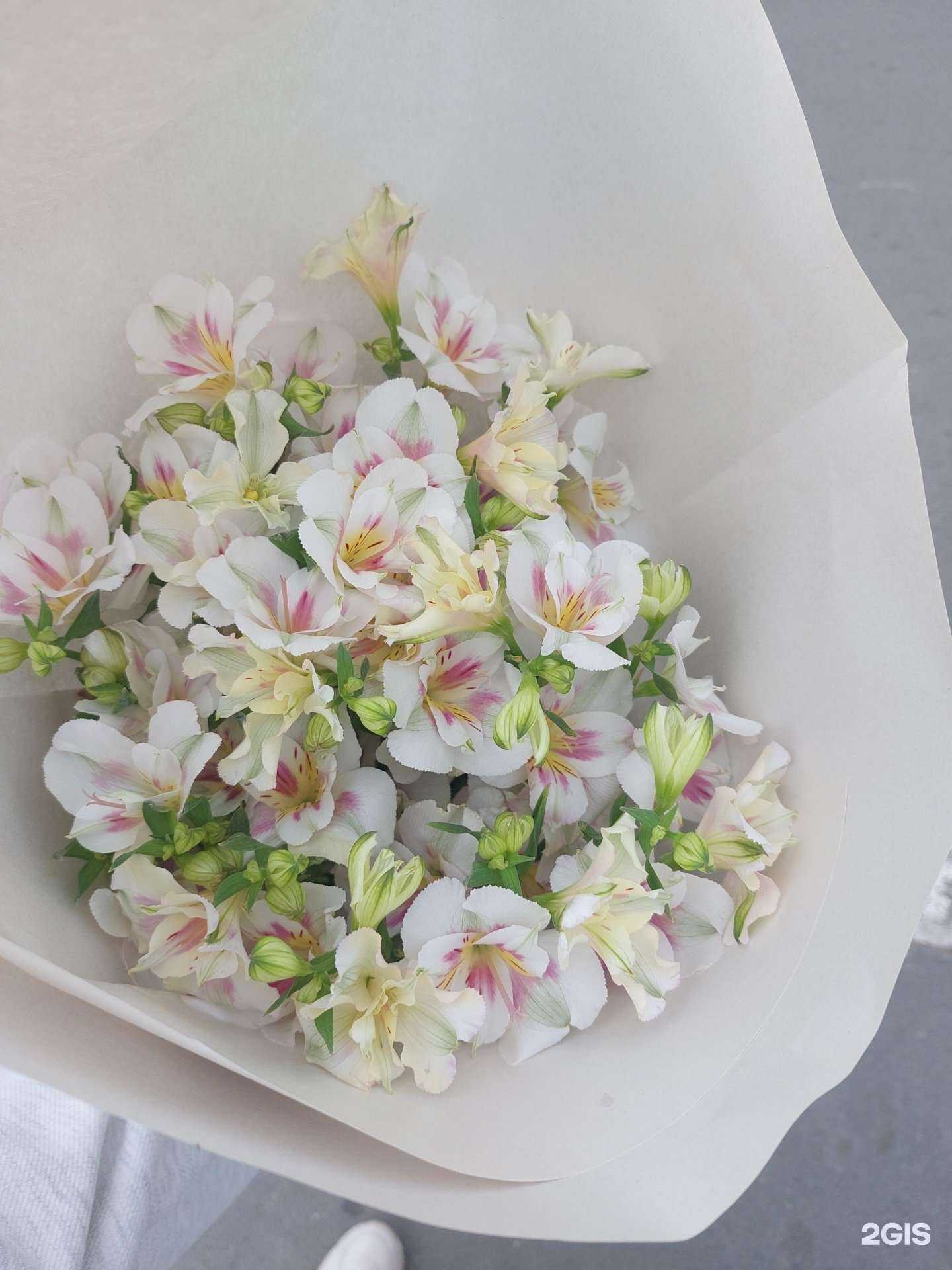 Отзывы на компанию Цветочный магазин в Оренбурге c фото
