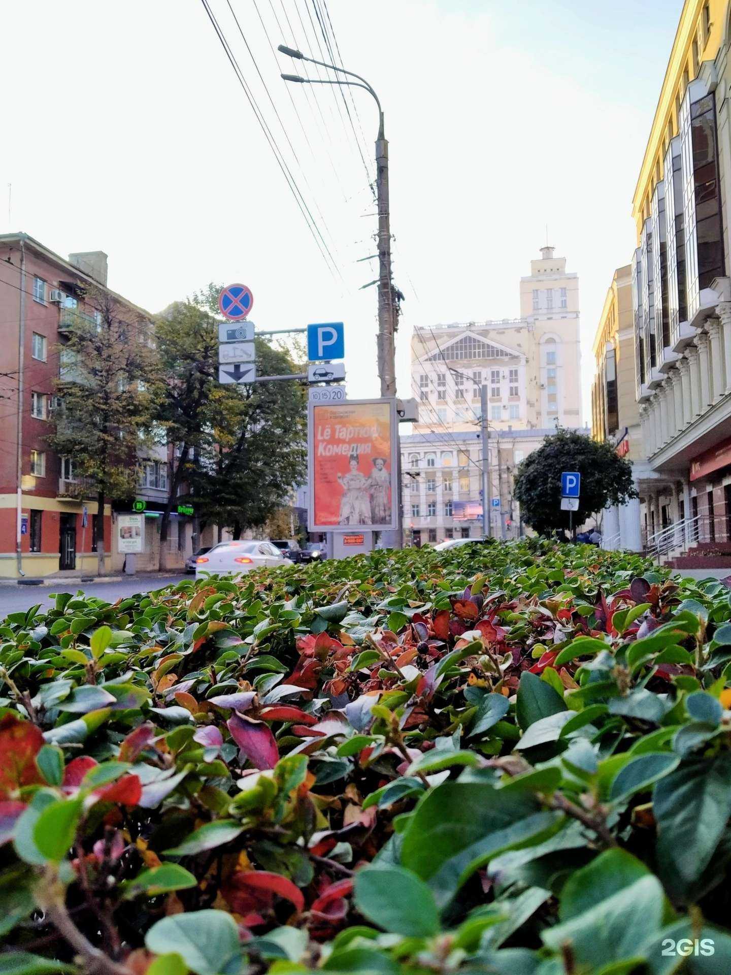 Отзывы на компанию Vrezerv в г. Воронеж c фото