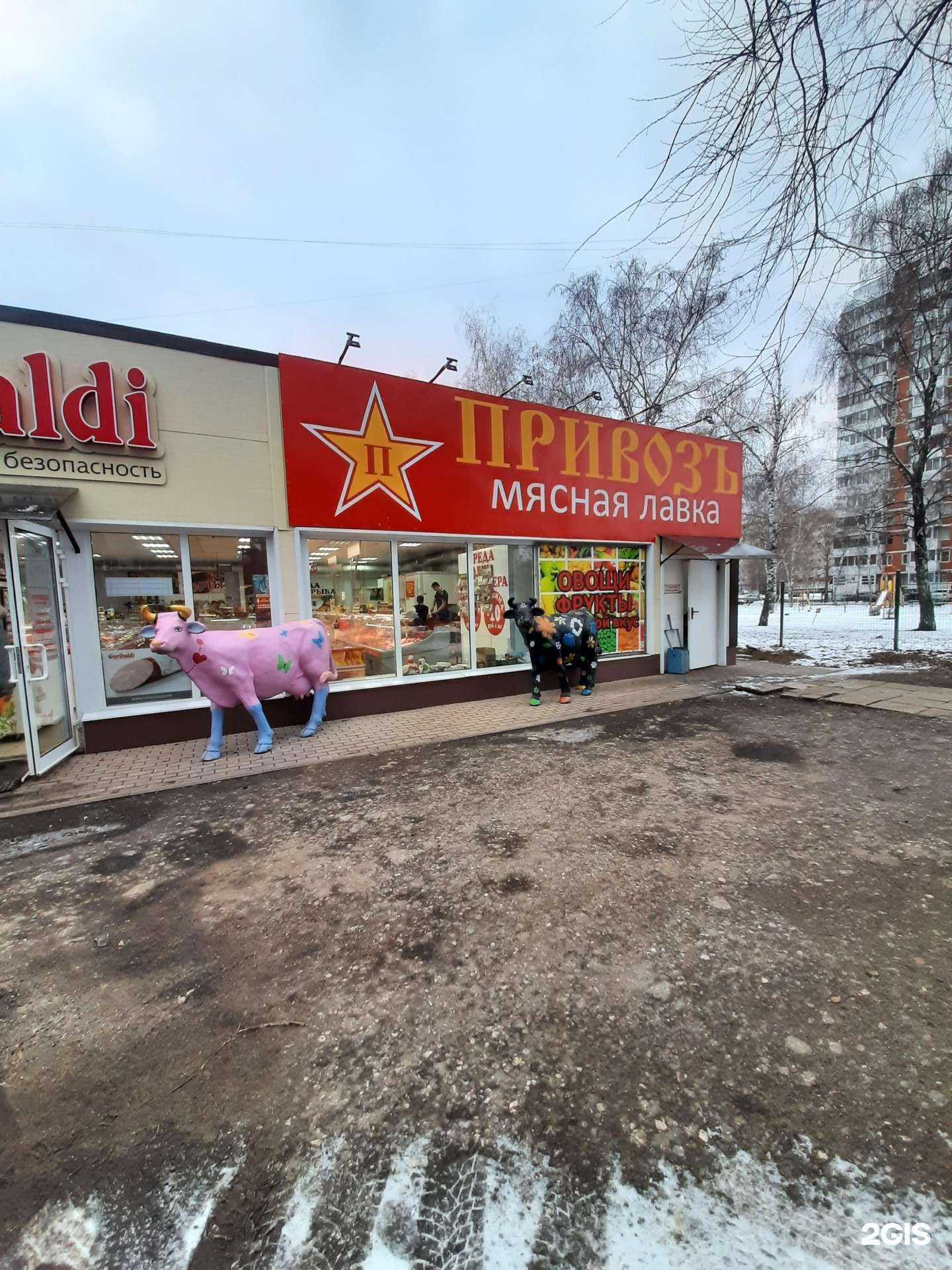 Отзывы на компанию Привозъ в г. Тольятти c фото