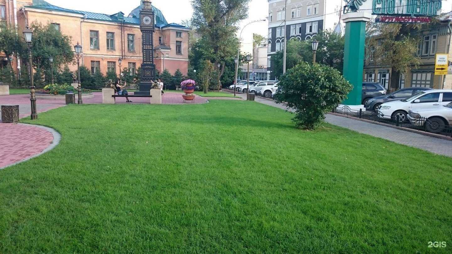 Отзывы на компанию Газон экспресс в Иркутске c фото