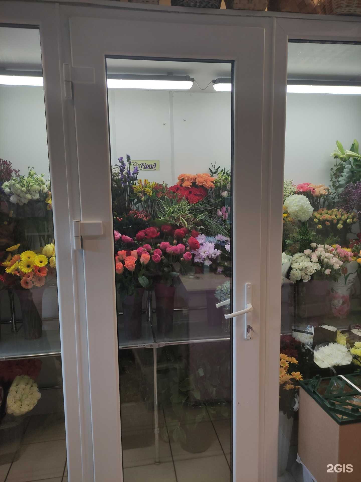 Отзывы на компанию Piona в г. Ковров c фото