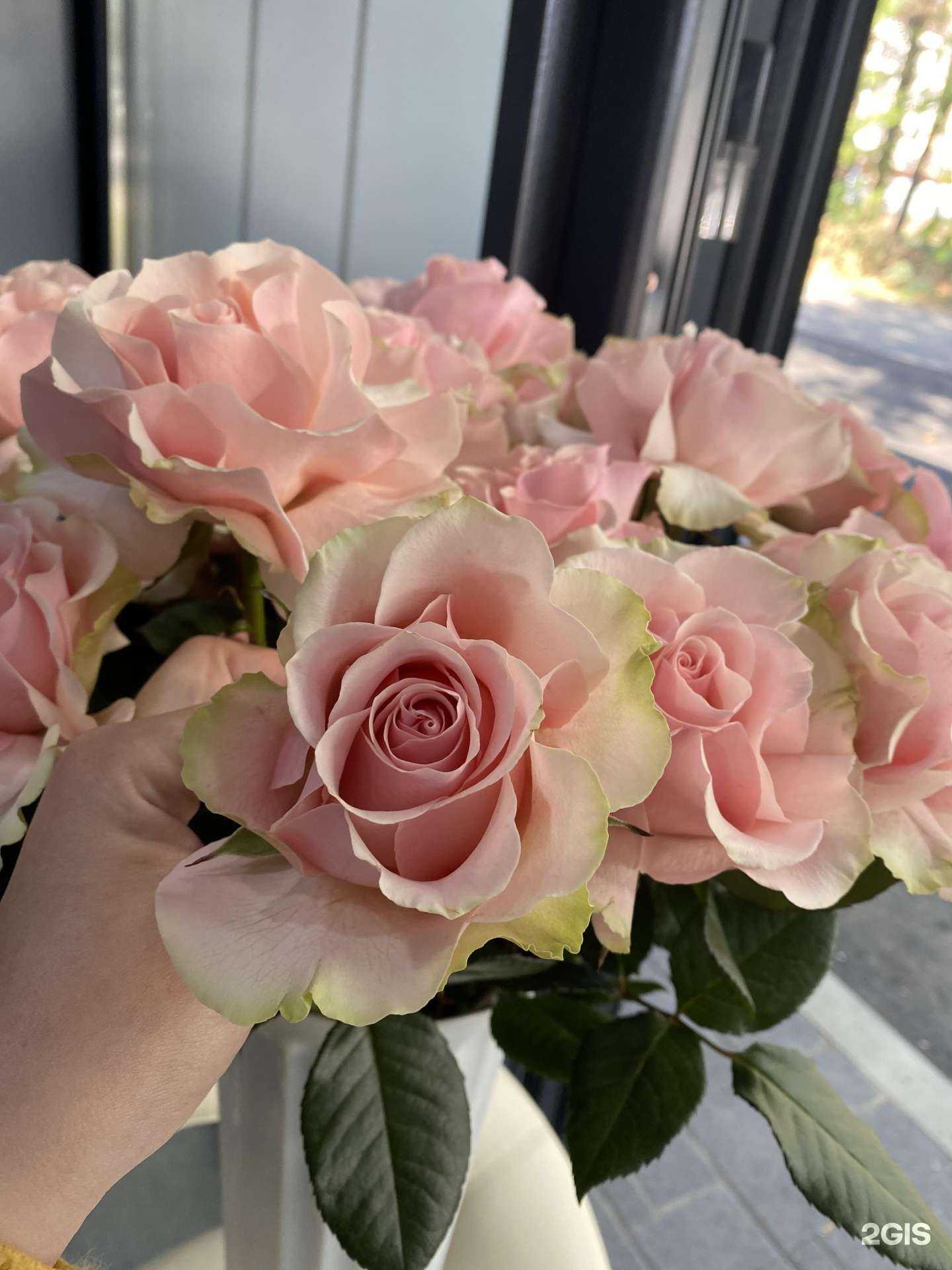 Отзывы на компанию Дарья в Ставрополе c фото