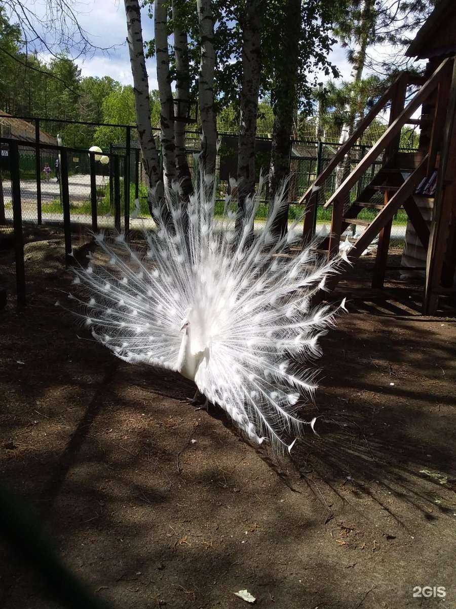 Отзывы на компанию Парус в Нефтеюганске c фото