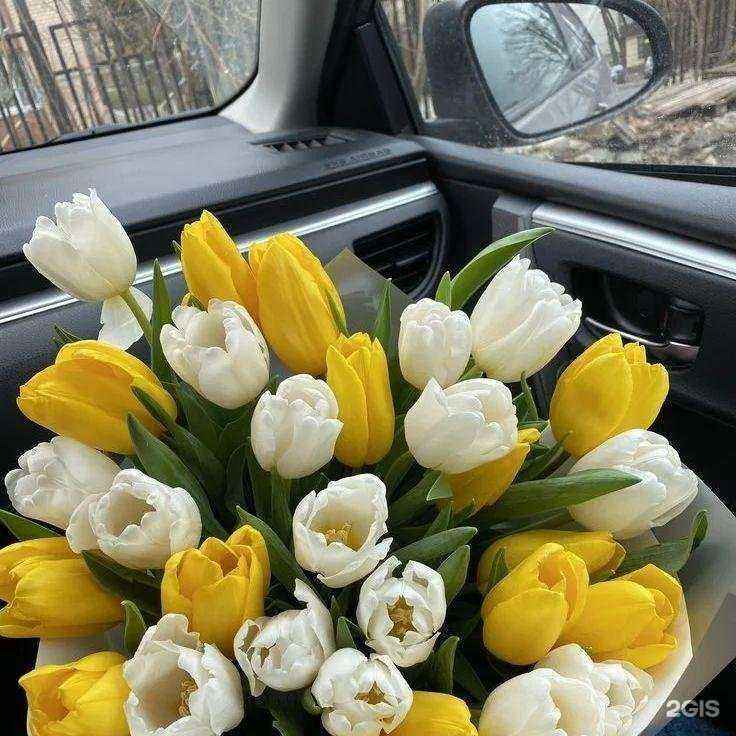 Отзывы на компанию Анкор в г. Новокуйбышевск c фото