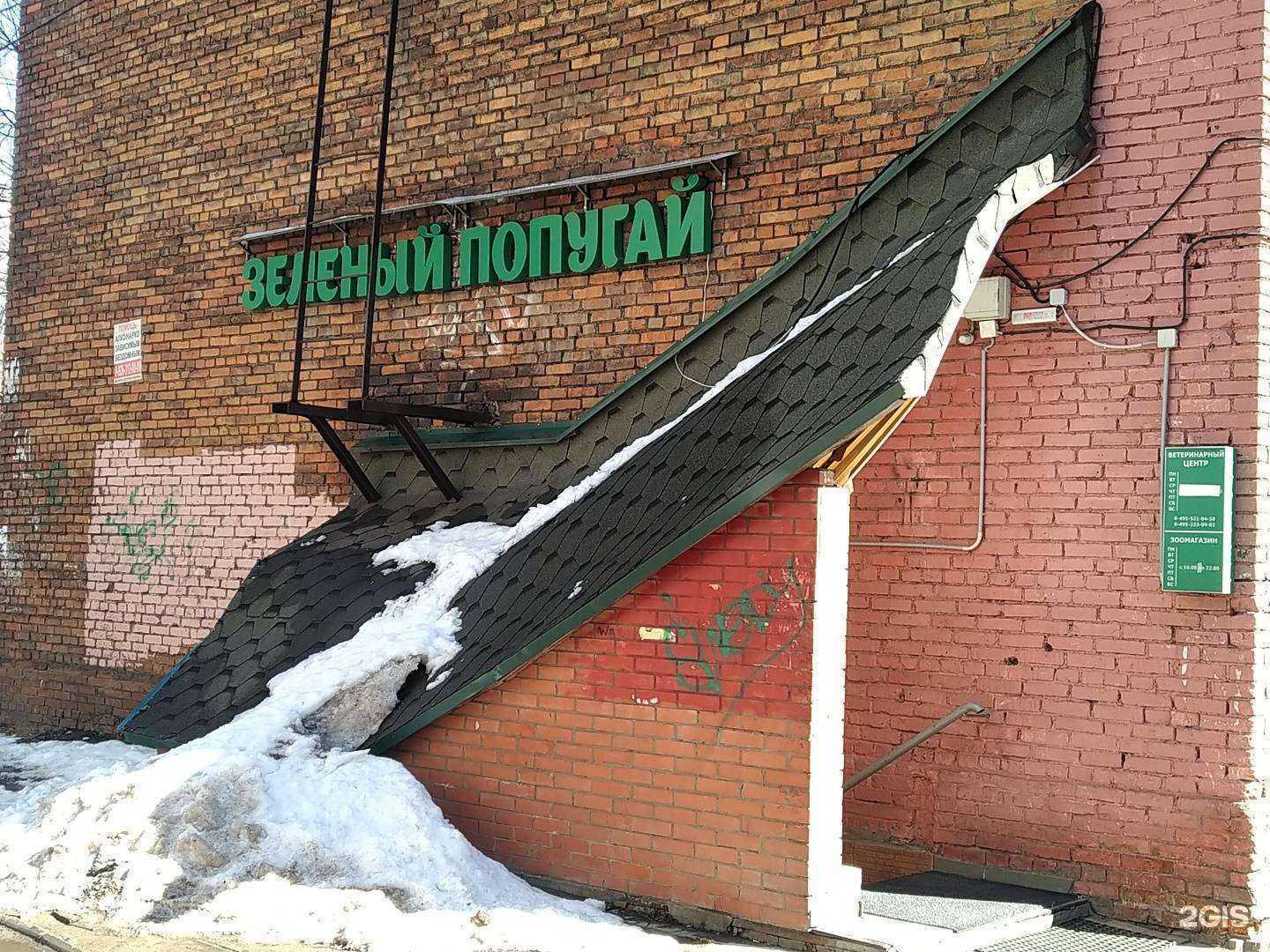 Отзывы на компанию Зеленый попугай в г. Балашиха c фото