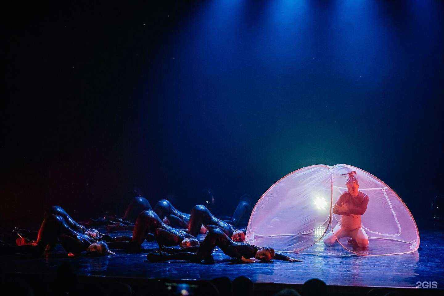 Отзывы на компанию Территория танца в г. Екатеринбург c фото