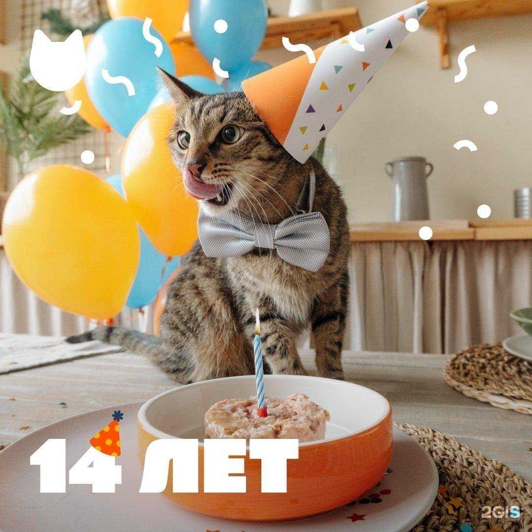 Отзывы на компанию Petshop.ru в Мурманске c фото