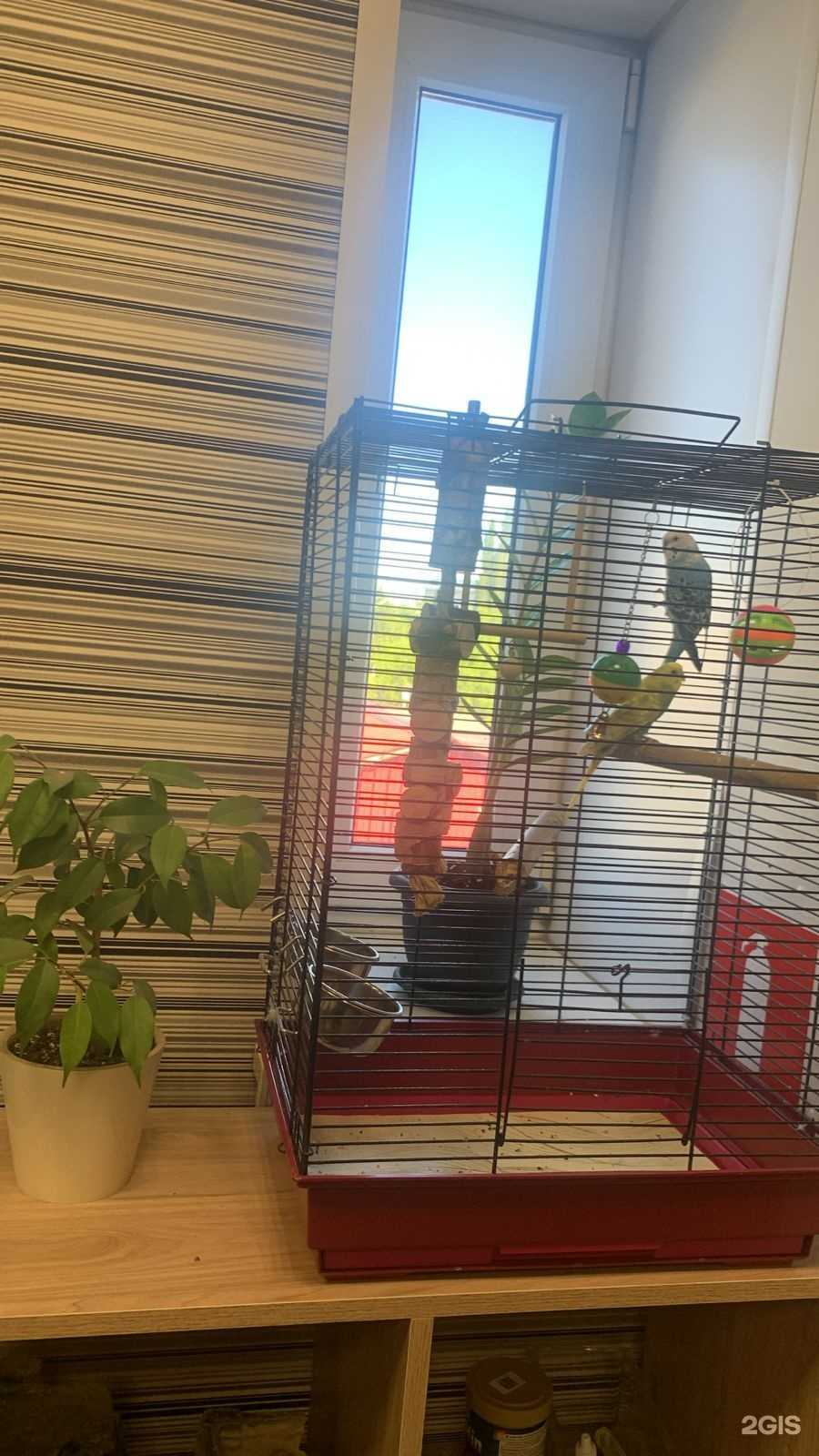 Отзывы на компанию Wash Wash Koper в Уфе c фото