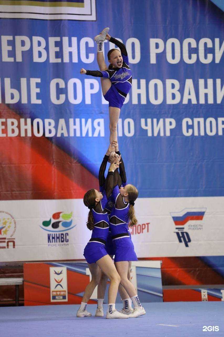 Отзывы на компанию Багира в г. Челябинск c фото