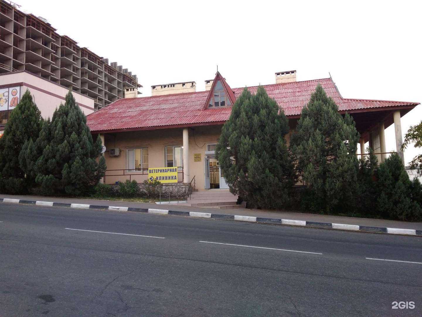 Отзывы на компанию Нововет в Новороссийске c фото - фотография 2 из 2