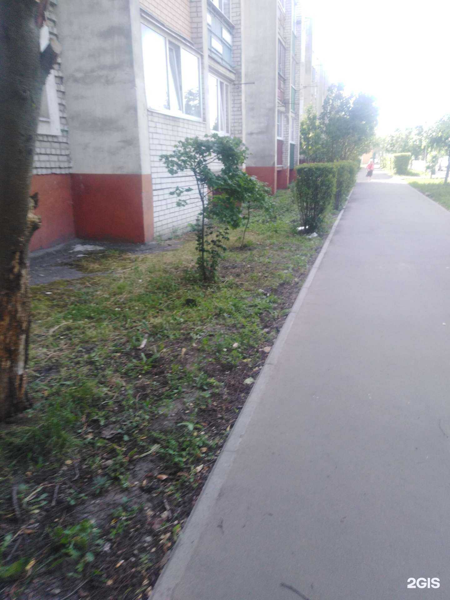 Отзывы на компанию Sky tours в Тамбове c фото - фотография 2 из 2