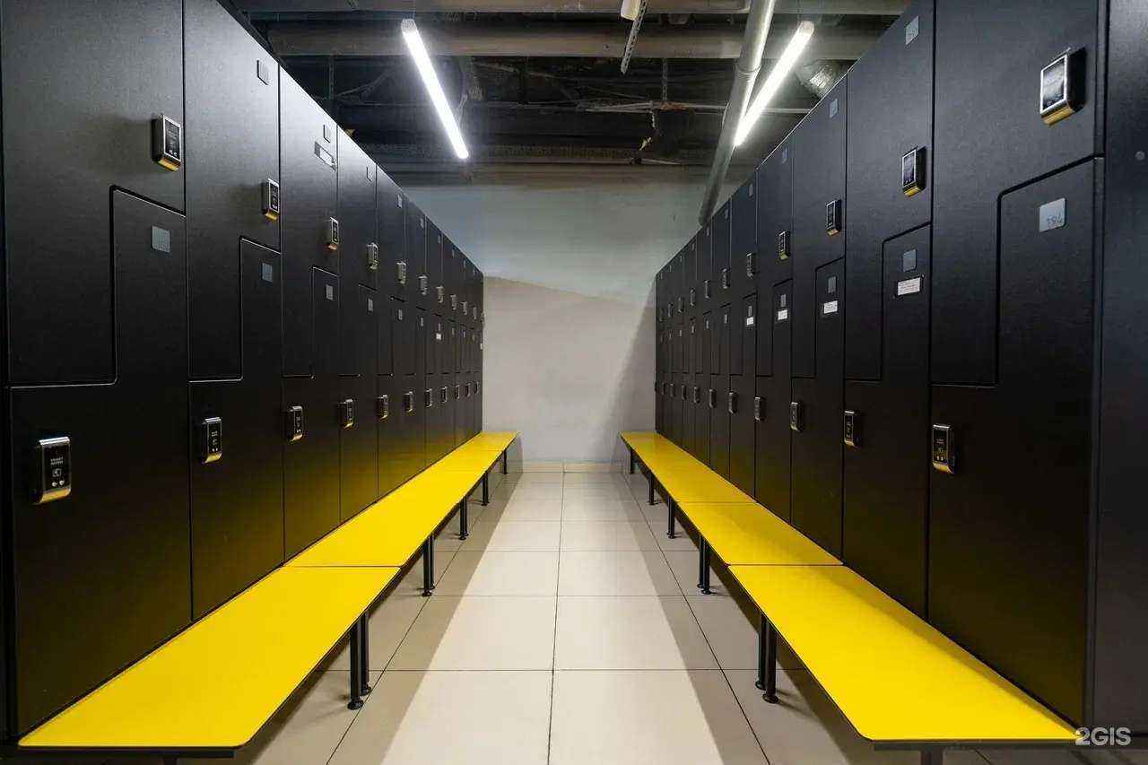 Отзывы на компанию Alex Fitness в Воронеже c фото