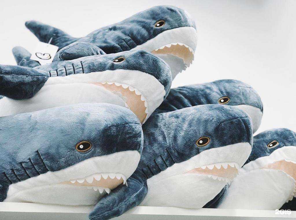 Отзывы на компанию Чайка в г. Тверь c фото