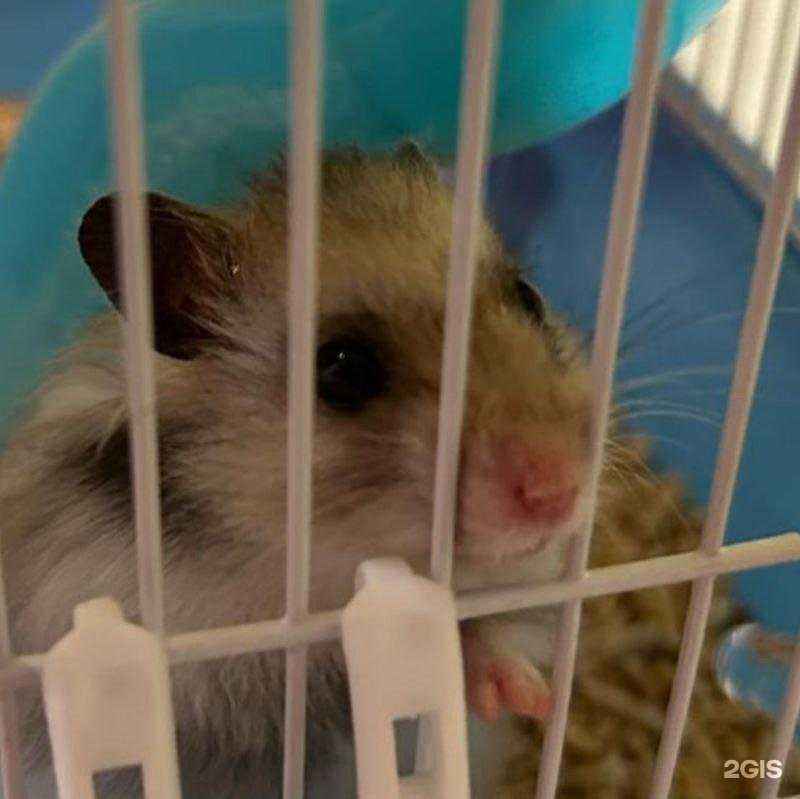 Отзывы на компанию Живая планета в г. Тюмень c фото