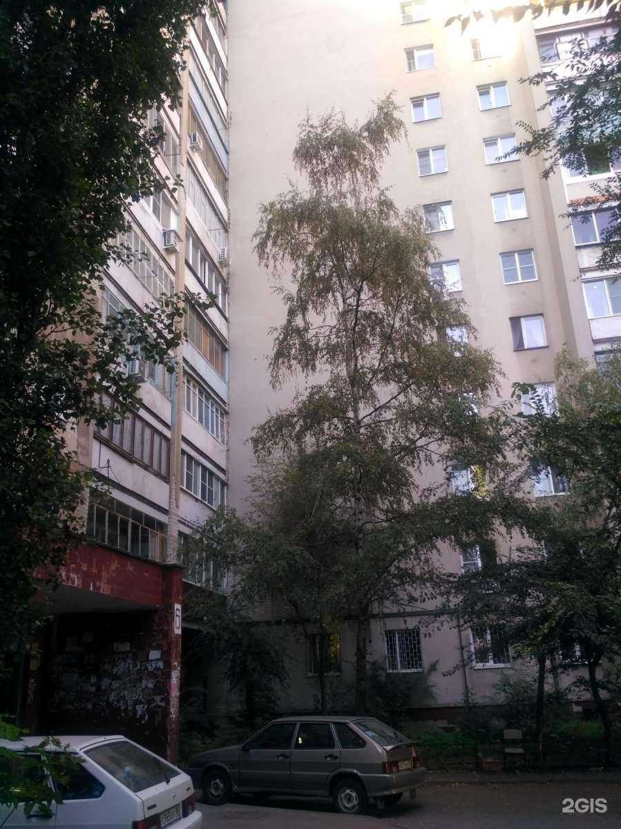 Отзывы на компанию Компания по оптовой продаже свежесрезанных цветов в Воронеже c фото - фотография 2 из 2