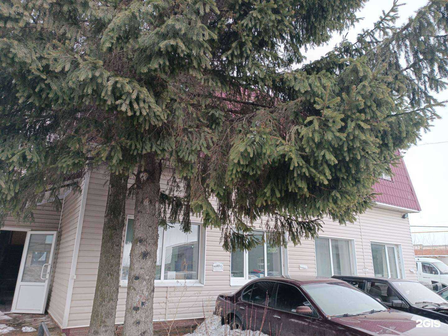 Отзывы на компанию ГлоблСтрой-НН в Кстове c фото - фотография 2 из 2