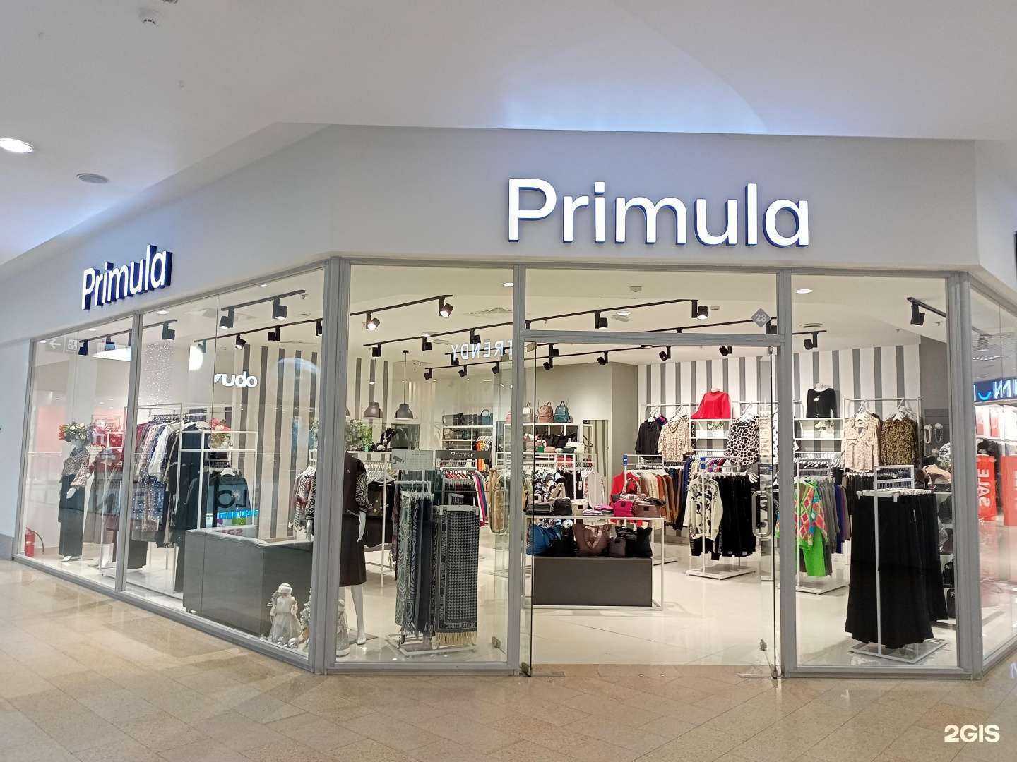 Отзывы на компанию Primula в Иванове c фото