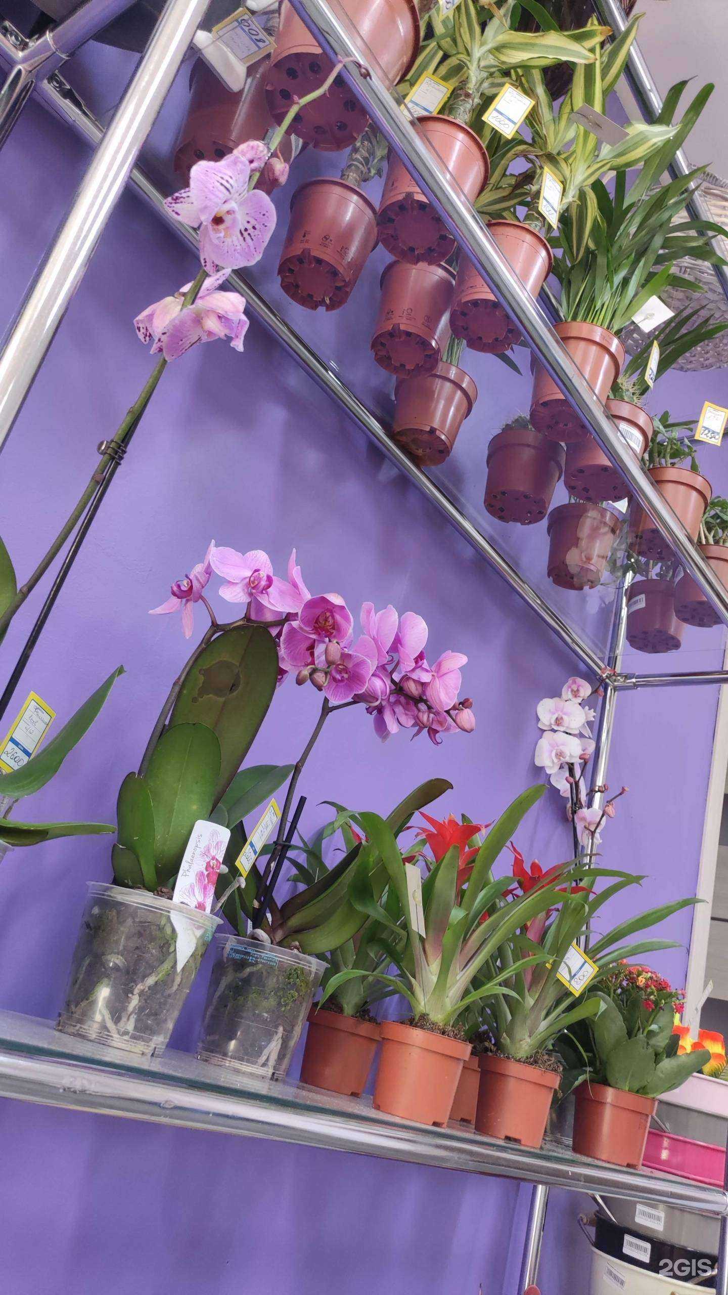 Отзывы на компанию LaVanda в Якутске c фото