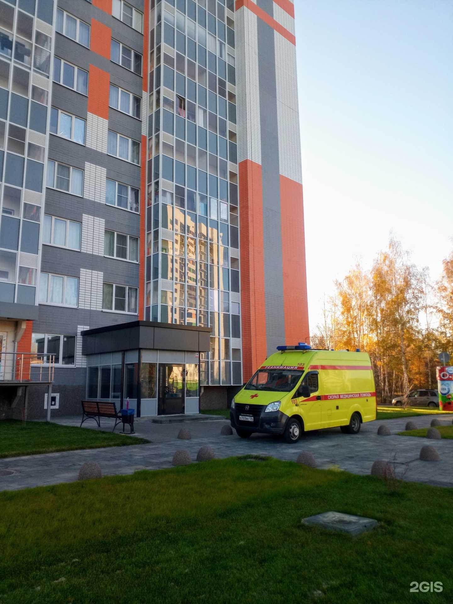 Отзывы на компанию GroomДом в Воронеже c фото - фотография 2 из 2