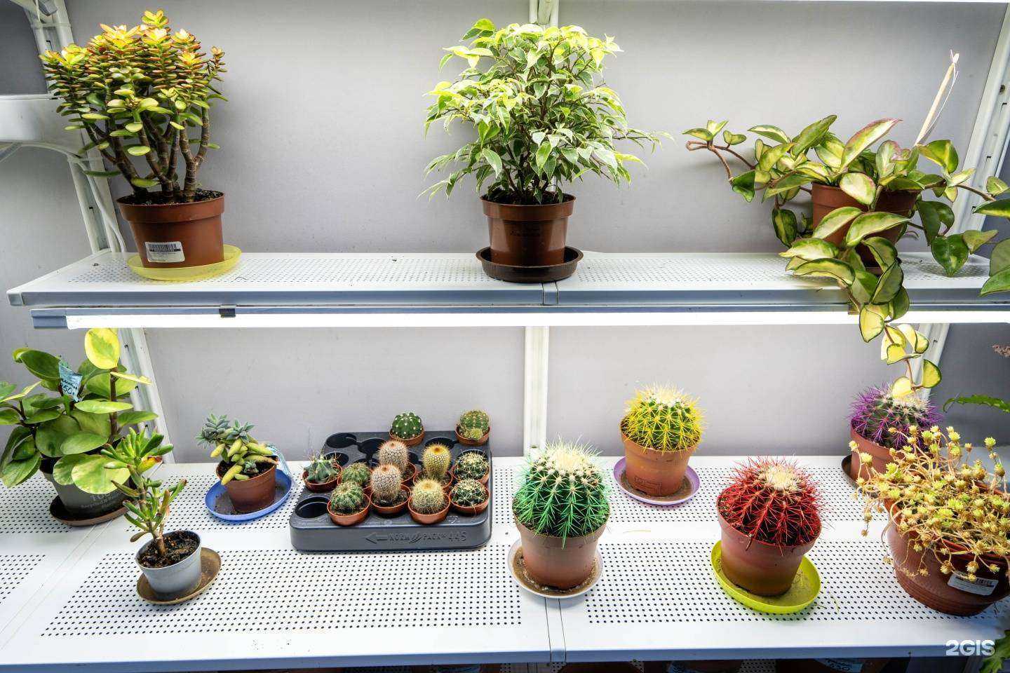 Отзывы на компанию Меркс в г. Калуга c фото