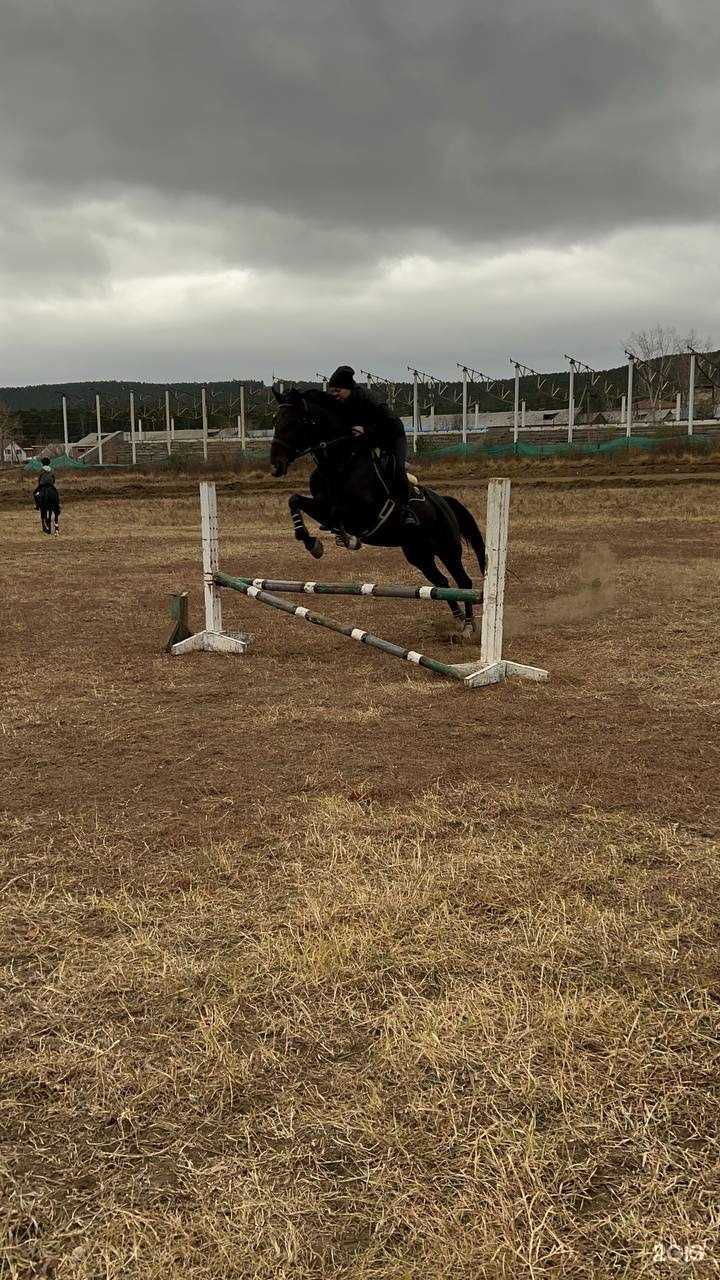 Отзывы на компанию Норбо в Улан-Удэ c фото