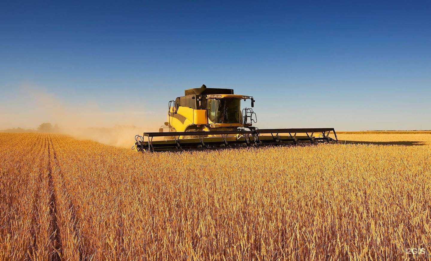 Отзывы на компанию Сателлит в г. Белгород c фото