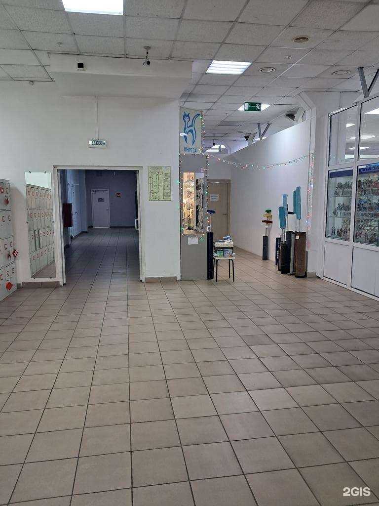 Отзывы на компанию Кот волшебник в г. Красноярск c фото