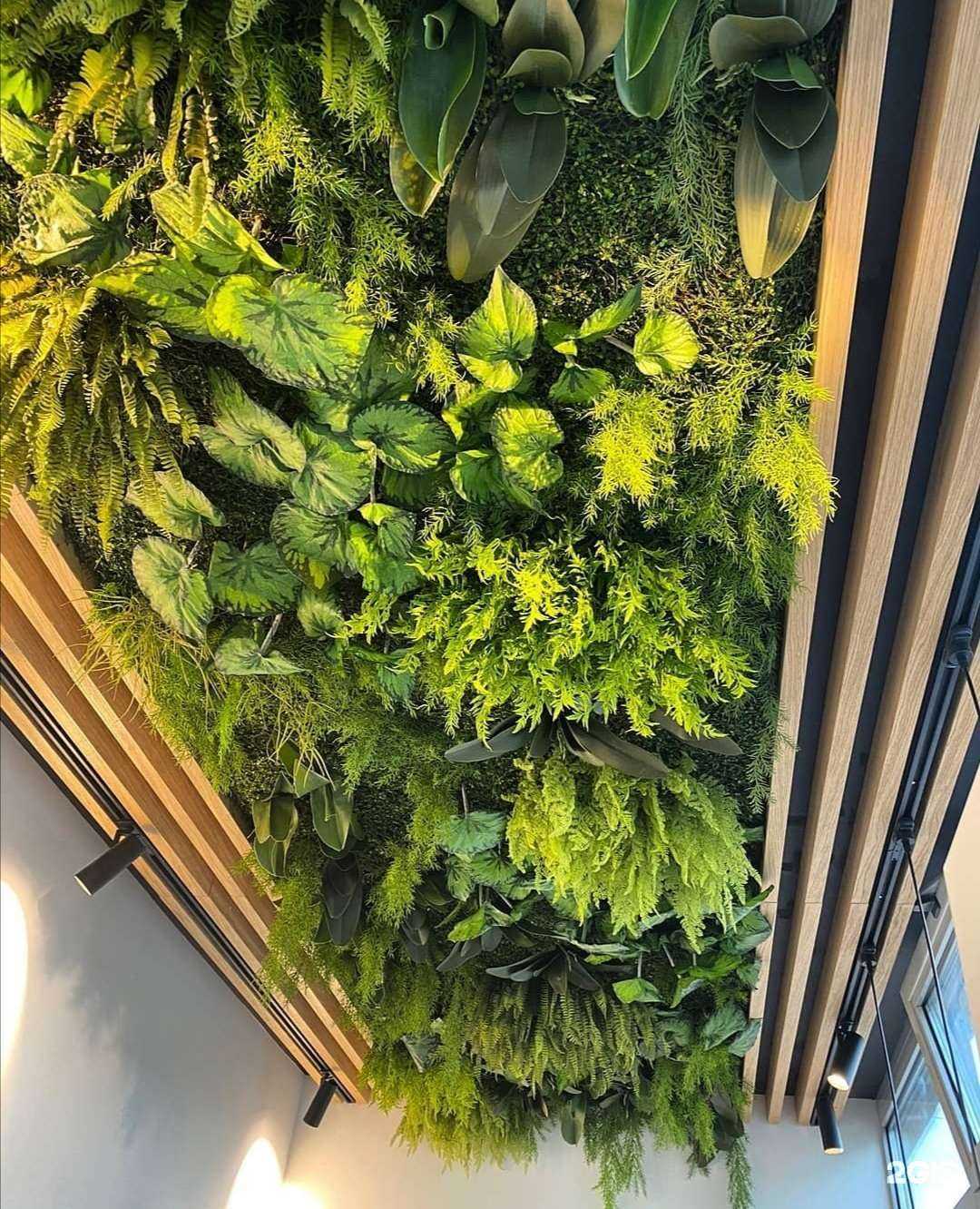 Отзывы на компанию Real Touch в Хабаровске c фото