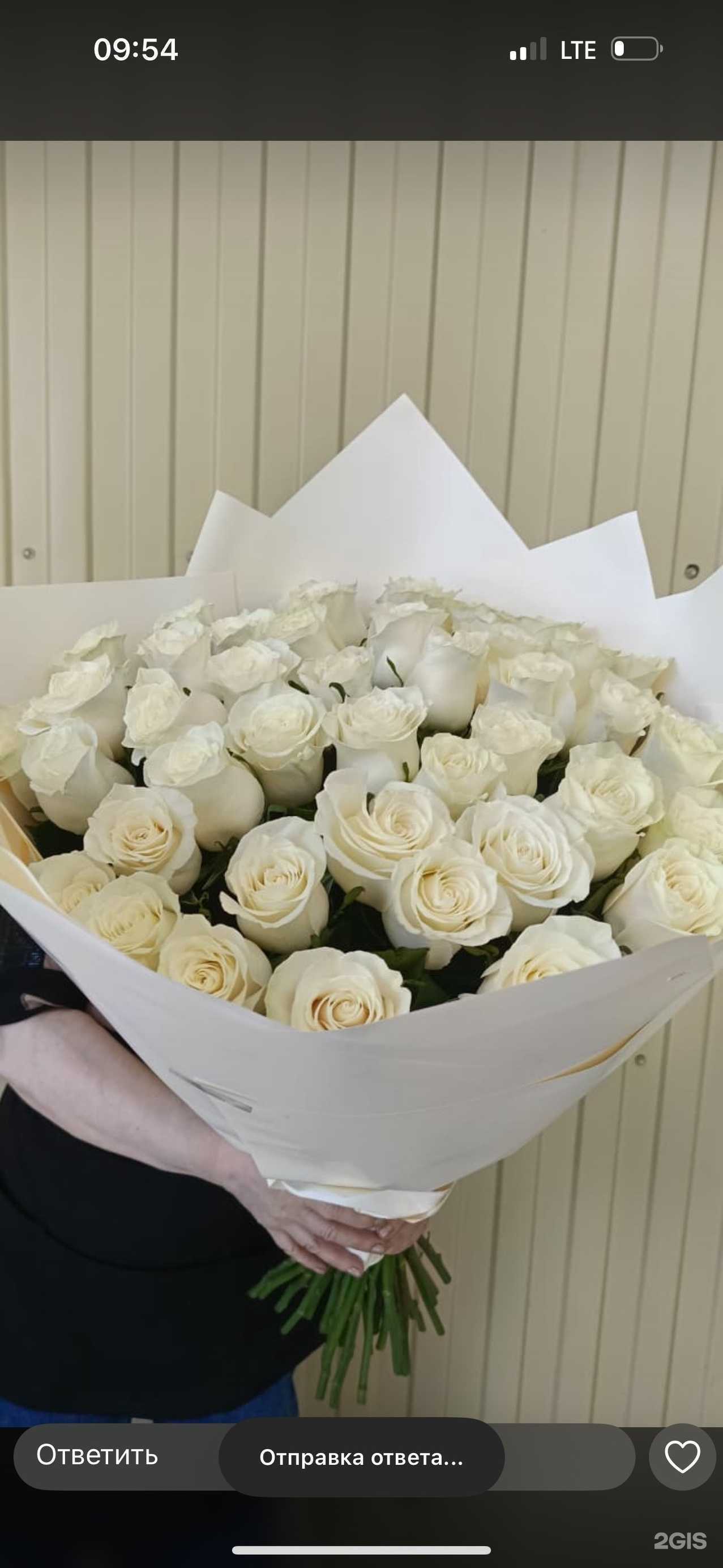 Отзывы на компанию Цветочный рынок в г. Астрахань c фото