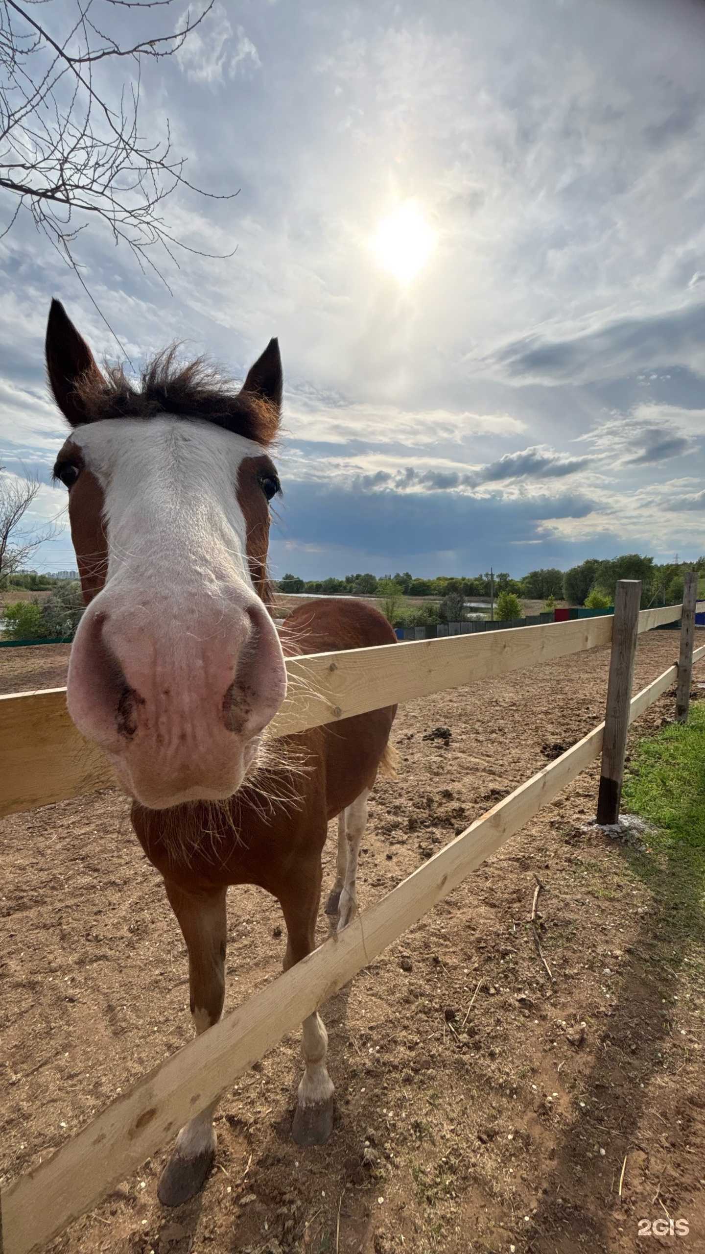 Отзывы на компанию За мечтой в Самаре c фото