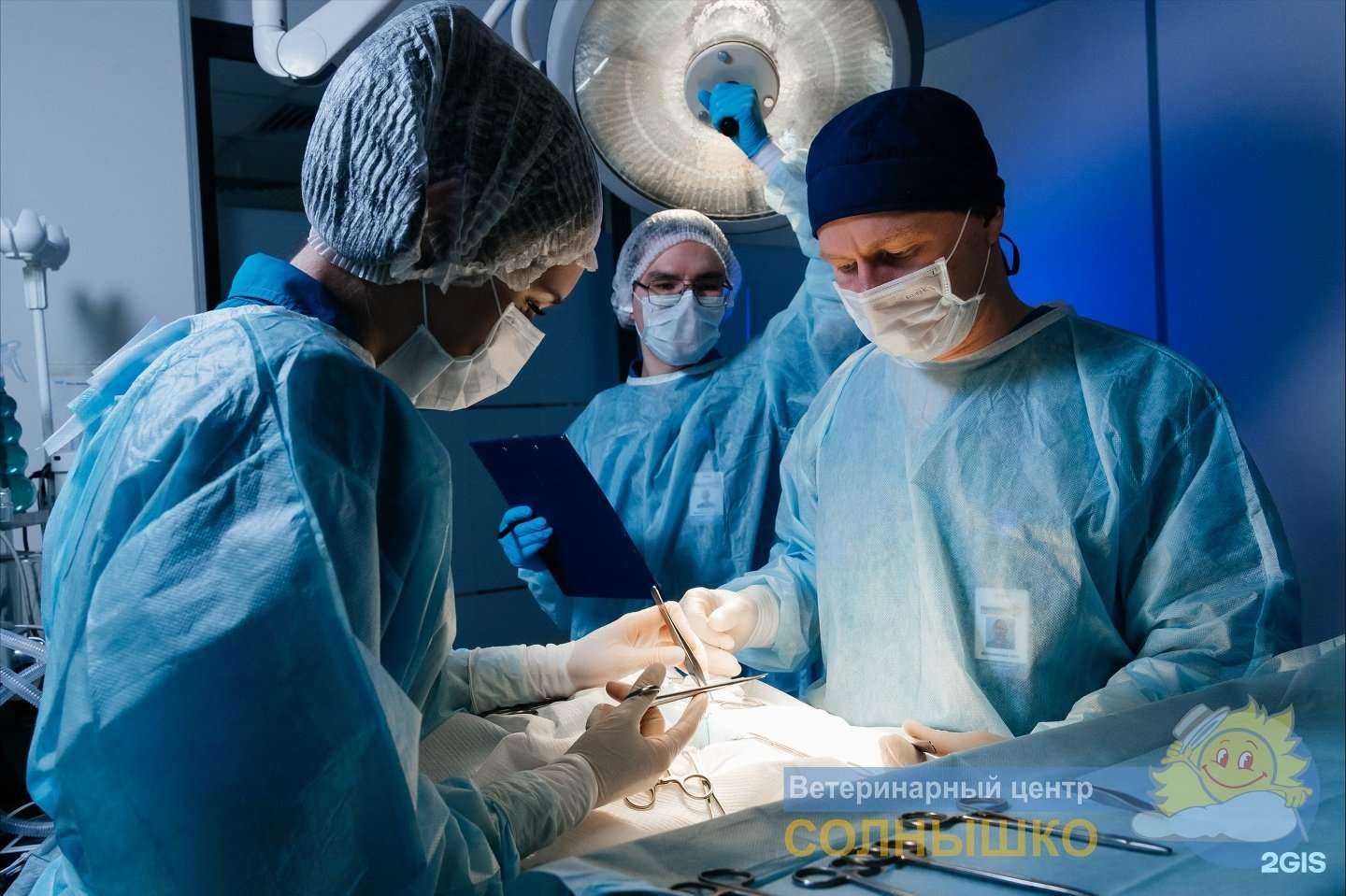 Отзывы на компанию Солнышко в Казани c фото