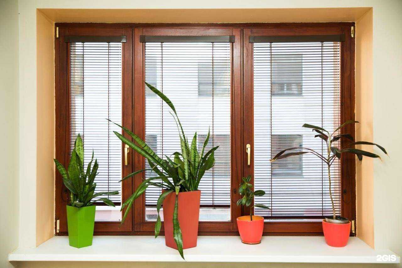 Отзывы на компанию Mishka в г. Самара c фото