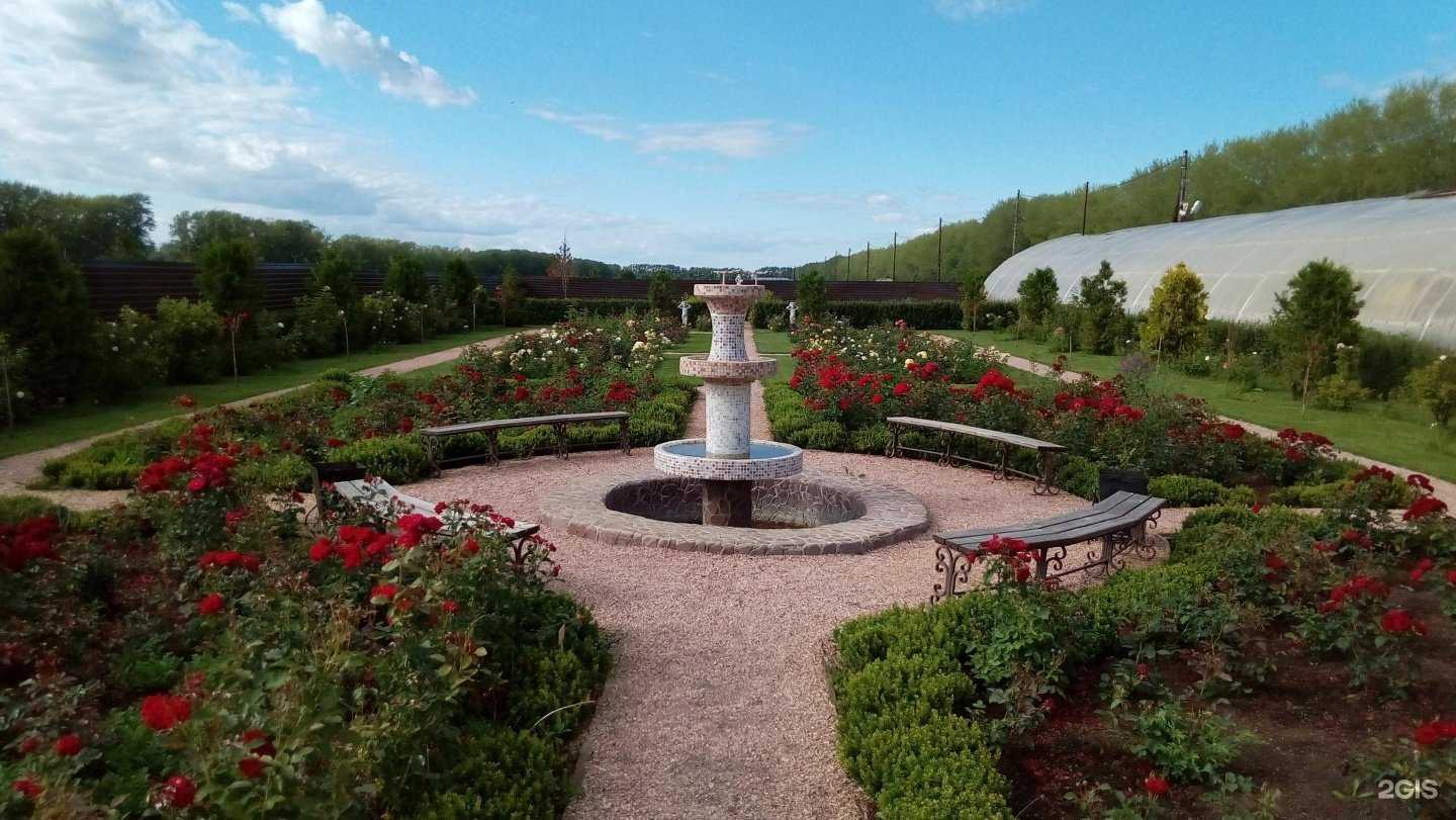 Отзывы на компанию Плодовое в Тюмени c фото - фотография 2 из 2