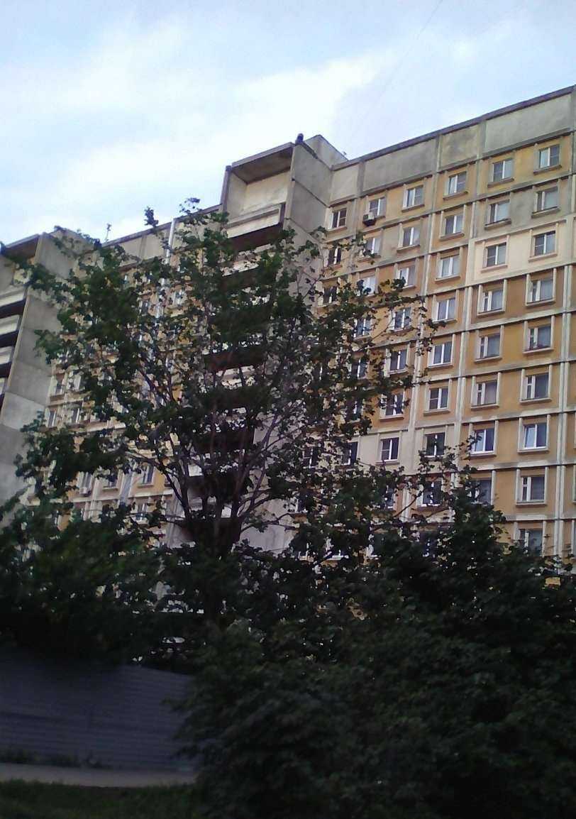 Отзывы на компанию Аюталь в Нижнем Новгороде c фото - фотография 2 из 2