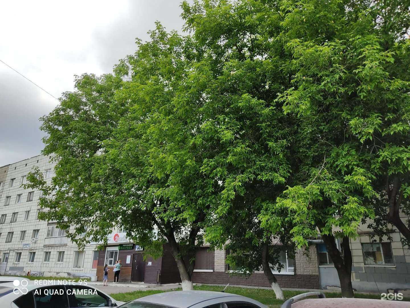 Отзывы на компанию Субарист в Перми c фото - фотография 2 из 2