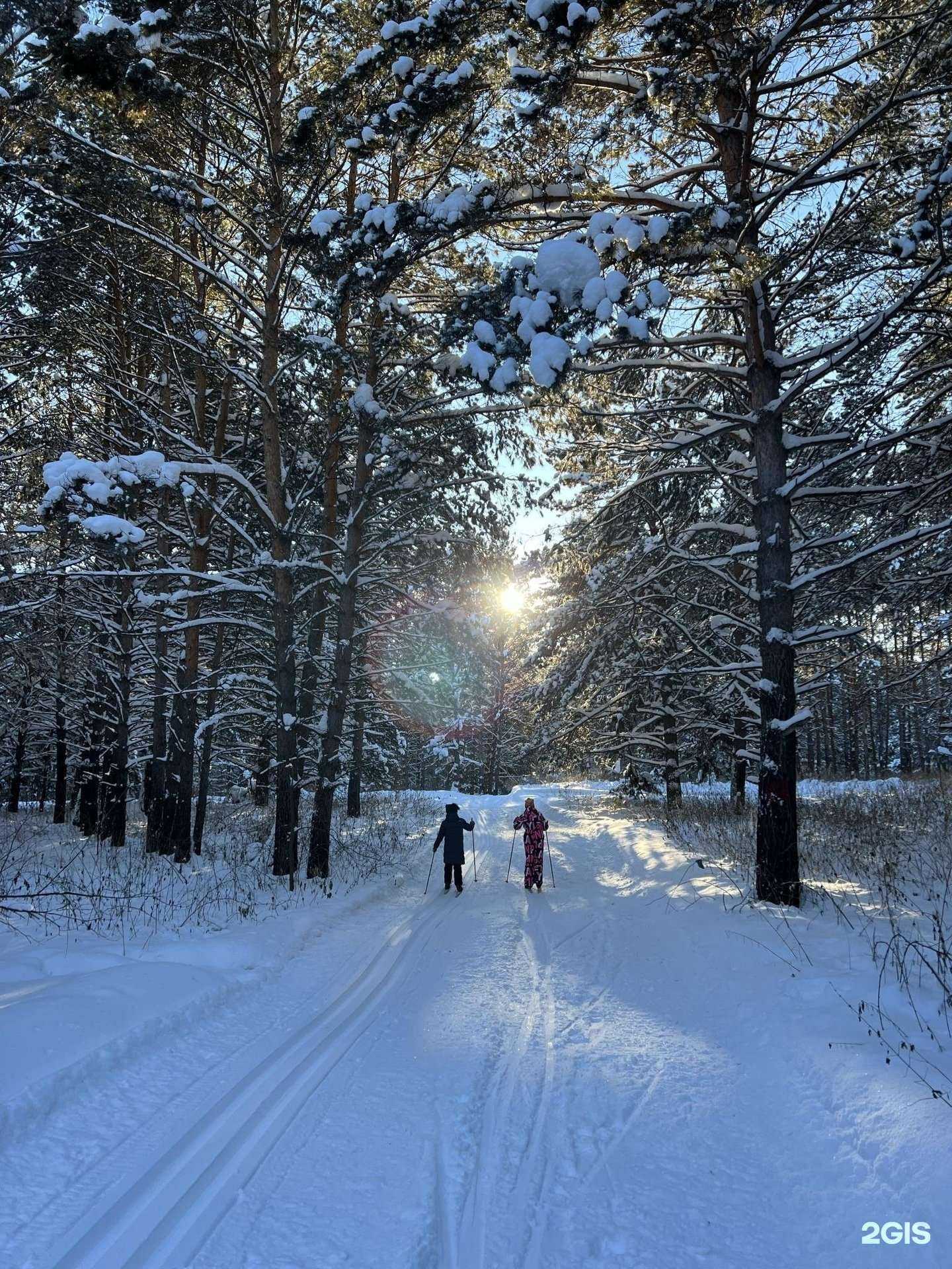 Отзывы на компанию Прокат Александра Бессмертных в Кемерове c фото