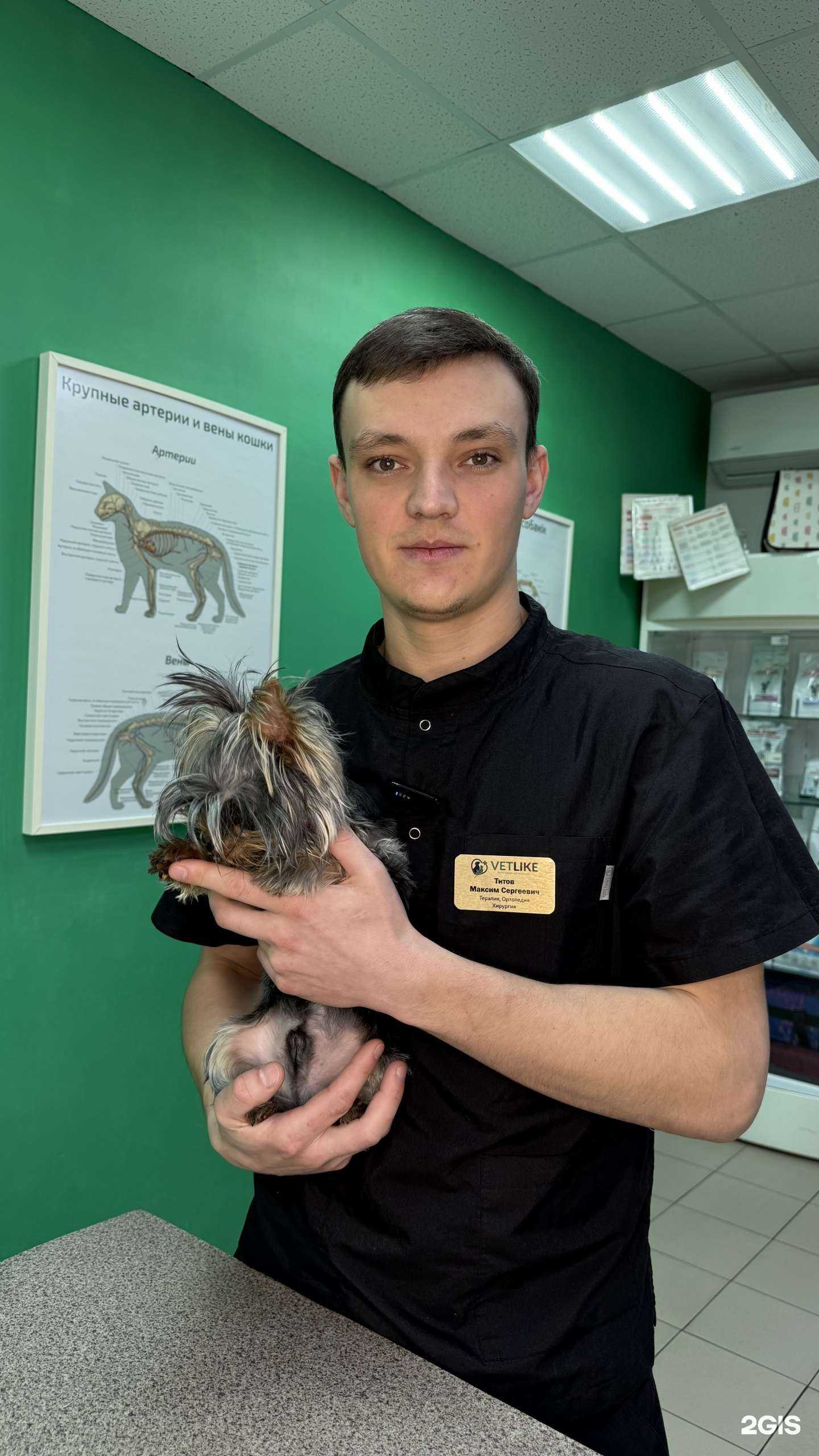 Отзывы на компанию VetLike в Ставрополе c фото