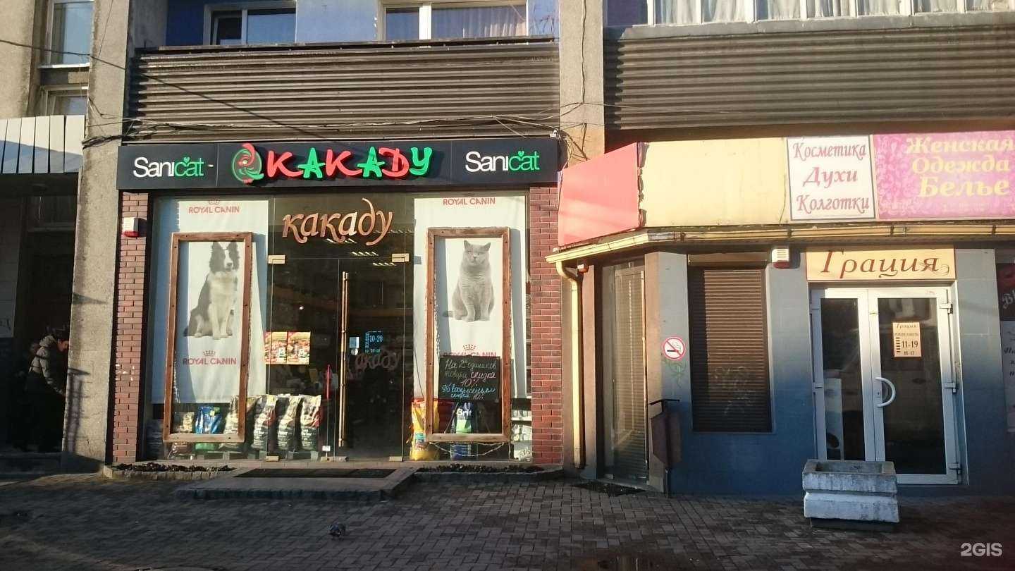 Отзывы на компанию Какаду в Калининграде c фото