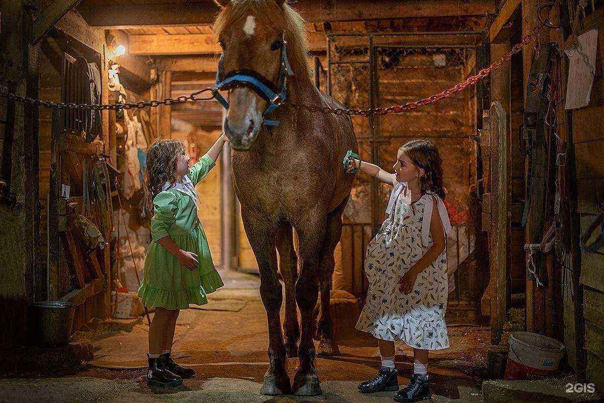 Отзывы на компанию Велес в Новосибирске c фото