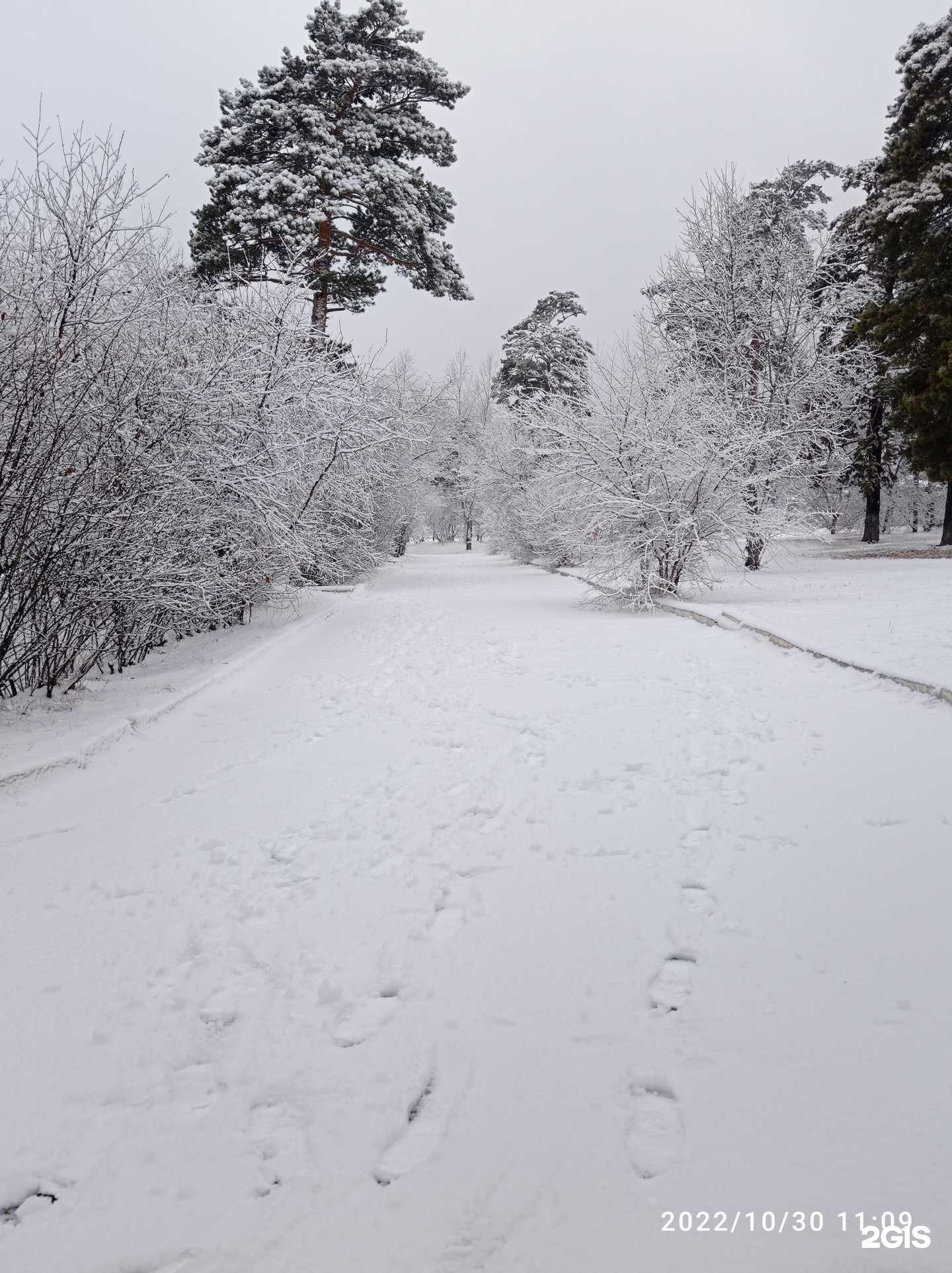 Отзывы на компанию Средняя школа №14 в Чите c фото