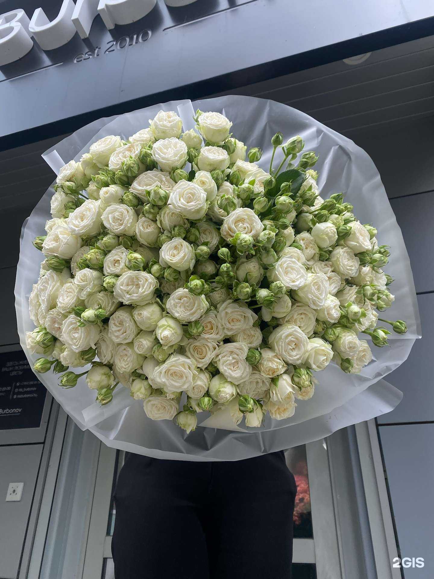 Отзывы на компанию Ирис Бурбонов в г. Екатеринбург c фото