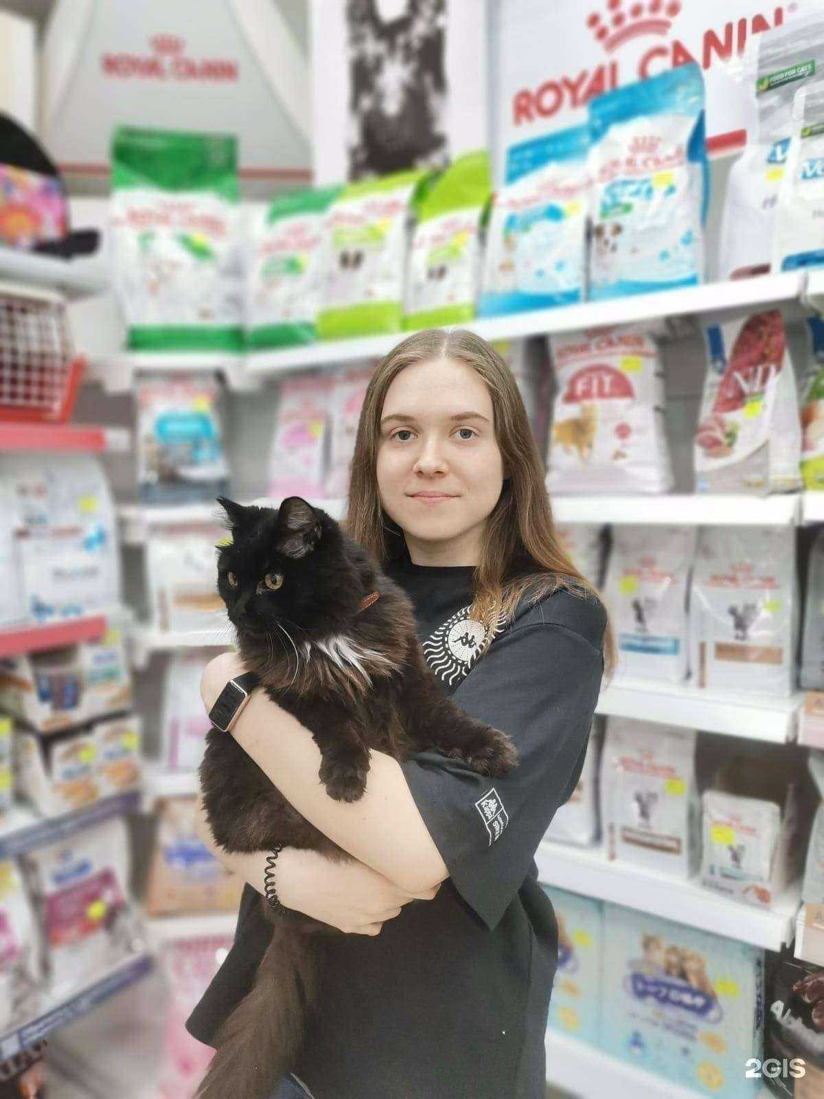 Отзывы на компанию Сами с усами в г. Томск c фото