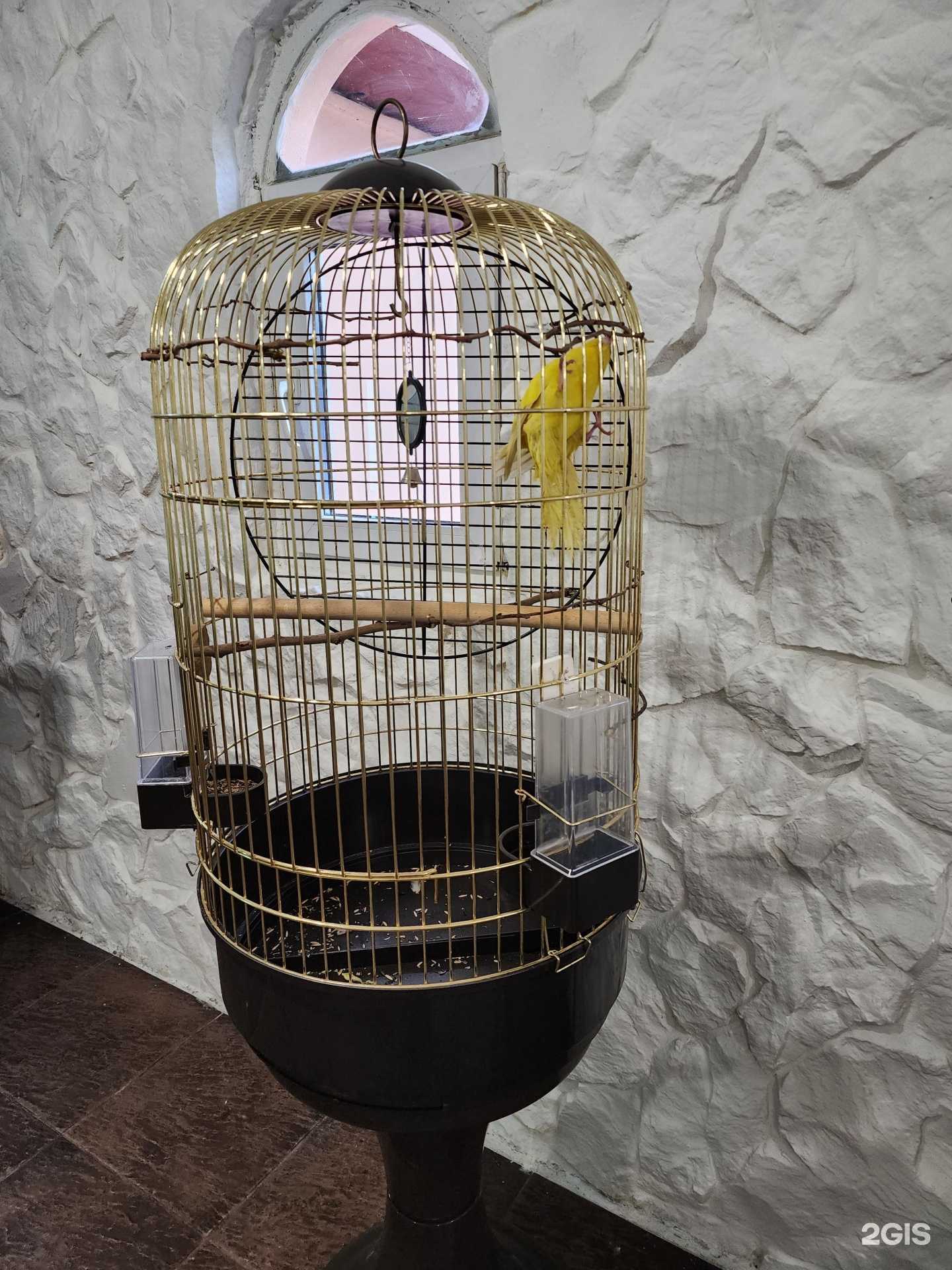 Отзывы на компанию Fusion в г. Краснодар c фото