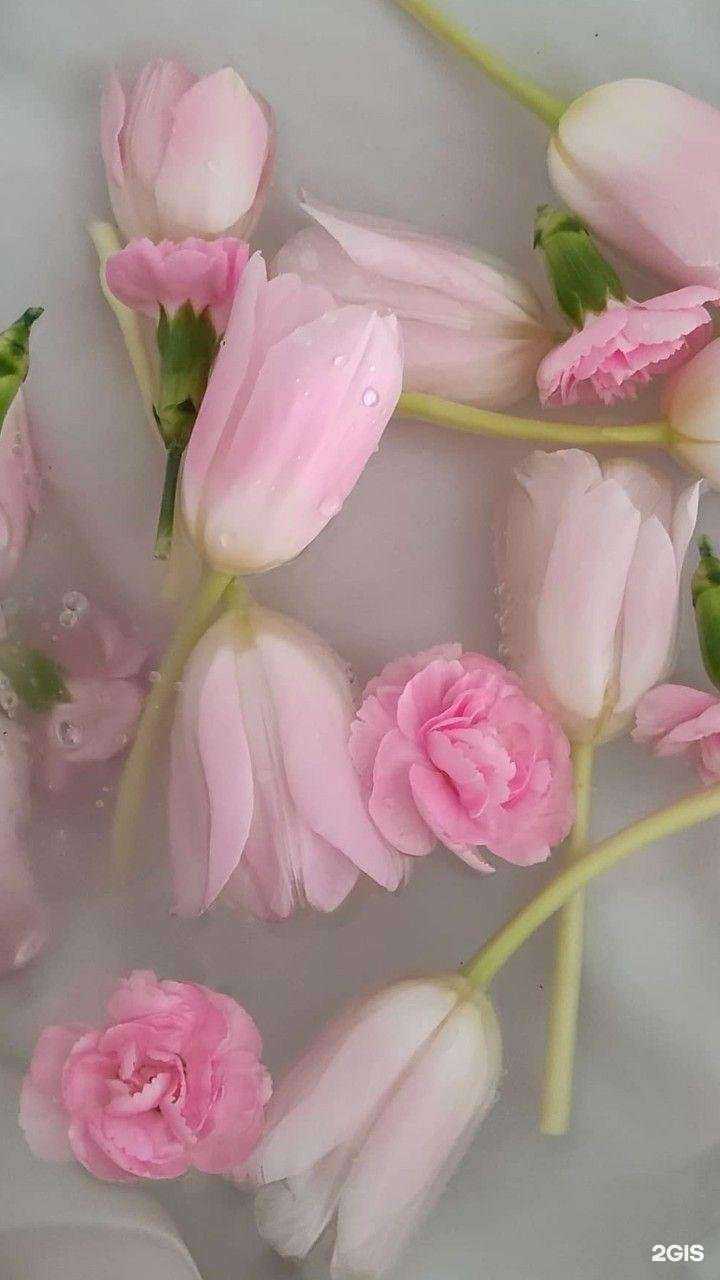 Отзывы на компанию Sakura_lazer в г. Салават c фото