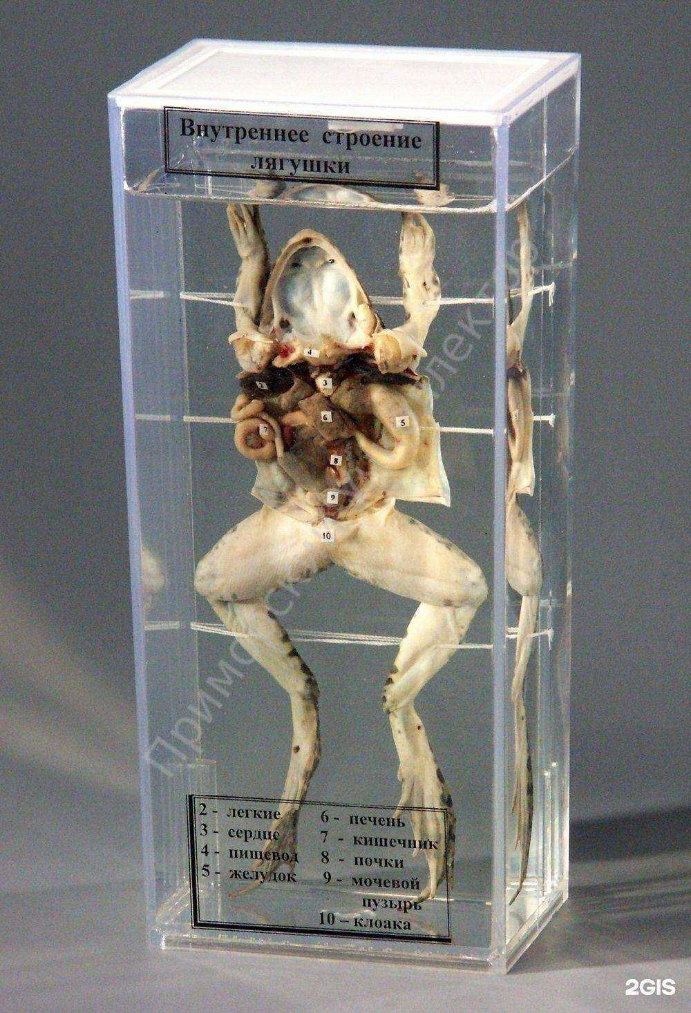 Отзывы на компанию Приморский учколлектор в г. Владивосток c фото