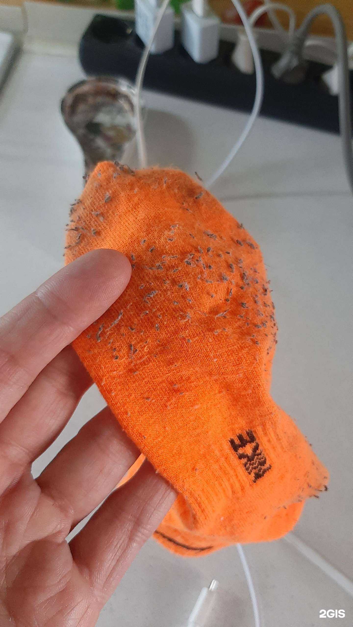 Отзывы на компанию I Love Socks в Чите c фото