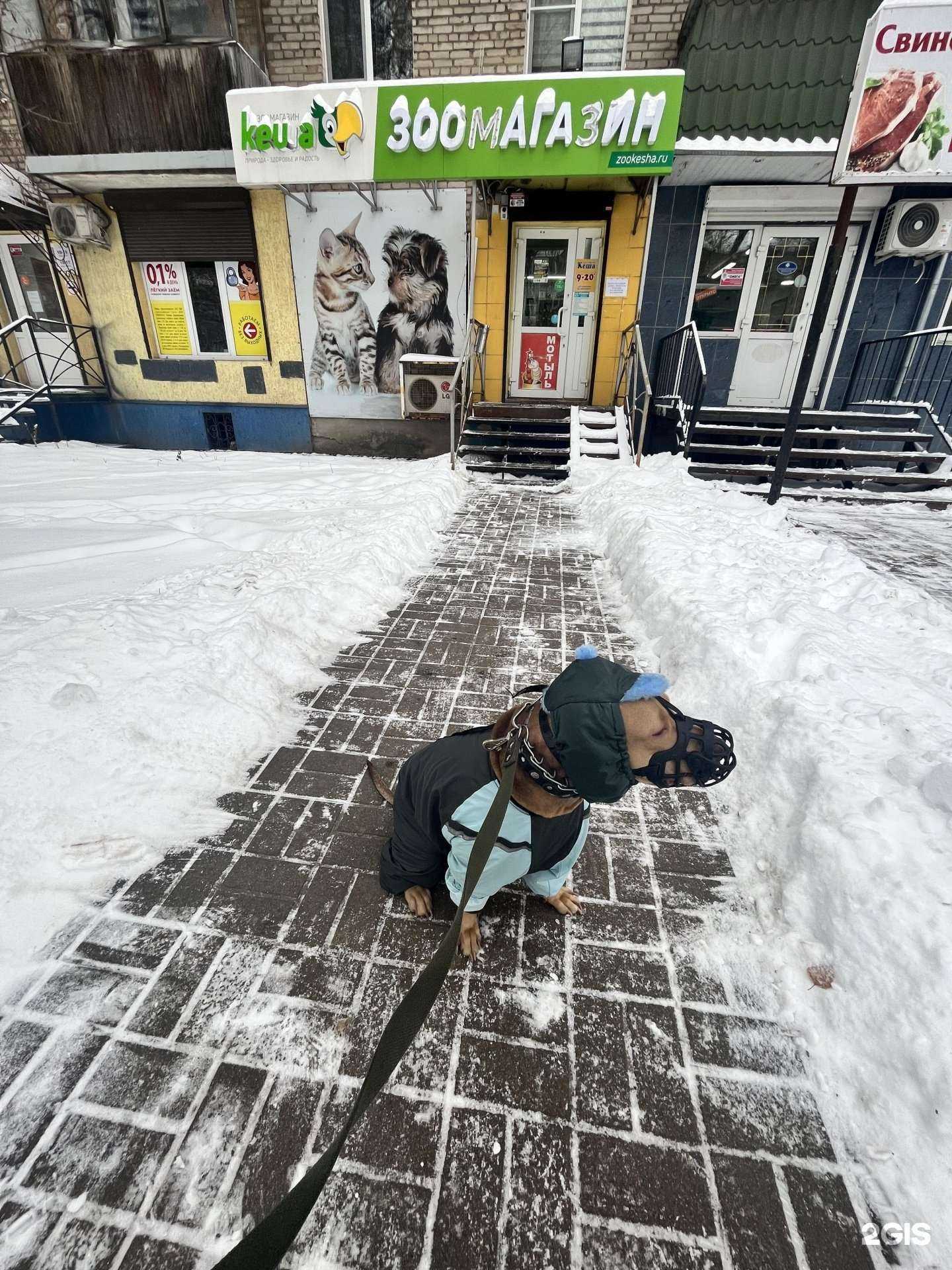 Отзывы на компанию Кеша в г. Смоленск c фото